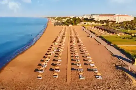 Blog Article 115, Read More...