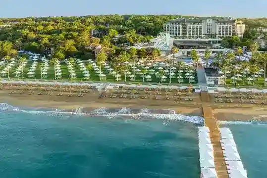 Blog Article 118, Read More...